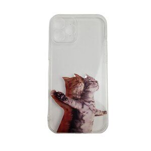 Cats in Titanic Cat Pose iPhone 12 Pro Max Clear Apple Phone Case